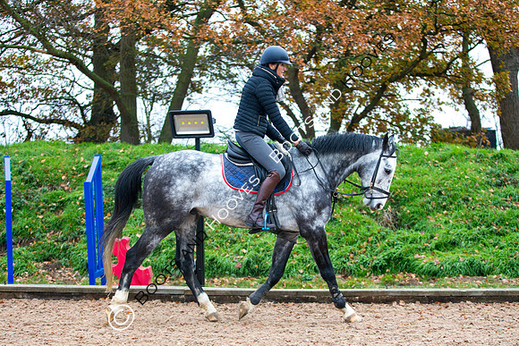 Jane Hart~ MANDATORY Credit Elli Birch/Bootsandhooves - NO UNAUTHORISED USE - 07745 909676