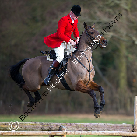 East Essex Hunt. Ladies Day. 29/01/2019 ~ MANDATORY Credit Elli Birch/Bootsandhooves - NO UNAUTHORISED USE - 07745 909676