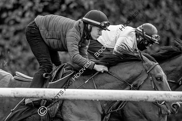 Newmarket