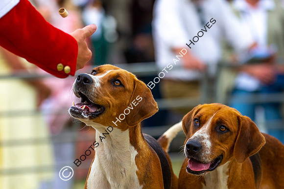 Festival of Hunting