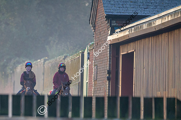Newmarket
