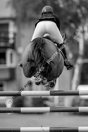 Science Supplements All England Jumping Championships