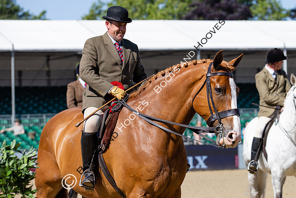 Royal Windsor Horse Show