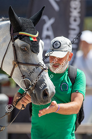 FEI Junior European Championship Young Riders, Juniors & Childre