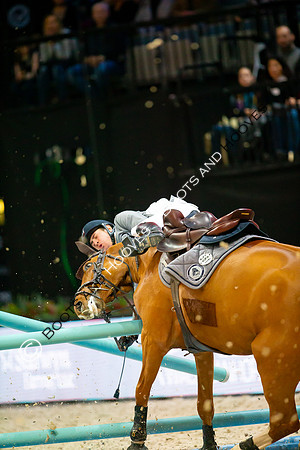 Showjumping