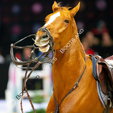 Showjumping