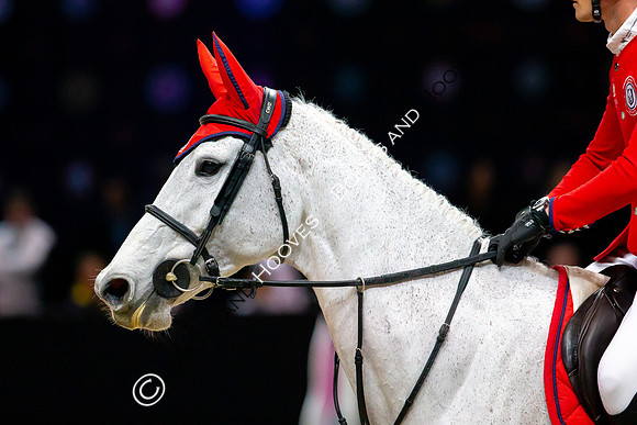 Showjumping