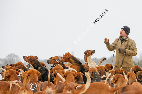 Hound Exercise