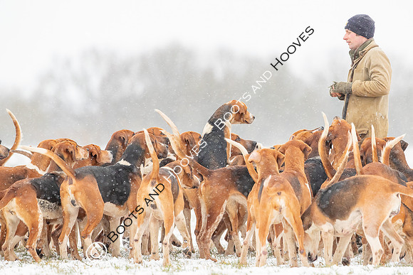 Hound Exercise