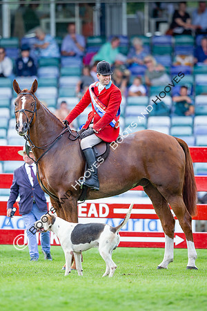 The AGRIA Royal International Horse Show