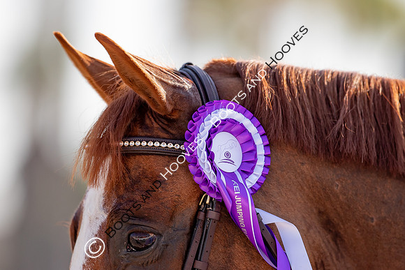 FEI Junior European Championship Young Riders, Juniors & Childre