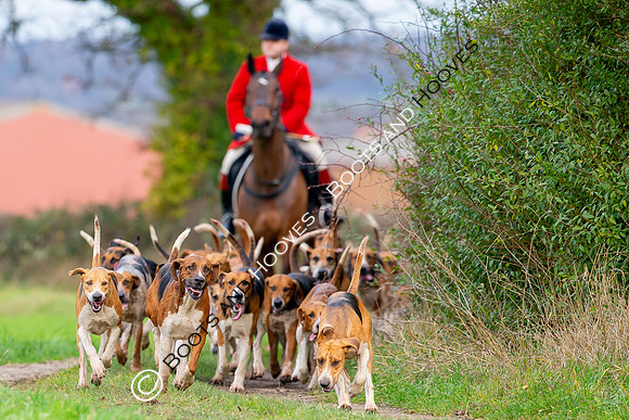Boxing Day Meet