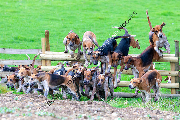 Boxing Day Meet