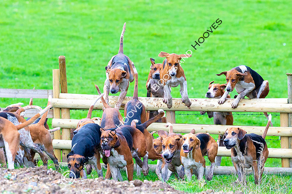 Boxing Day Meet