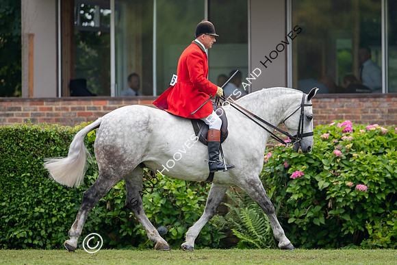 The Prenetics Royal International Horse Show