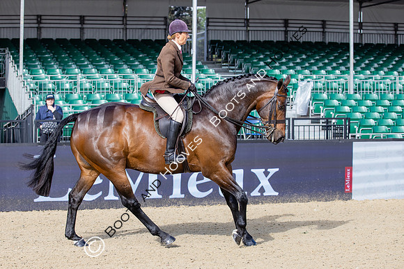 Royal Windsor Horse Show