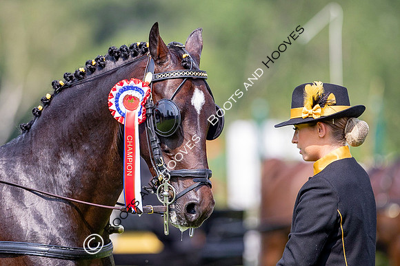 The Prenetics Royal International Horse Show