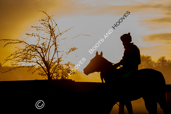Newmarket
