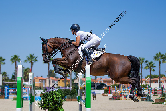 FEI Junior European Championship Young Riders, Juniors & Childre