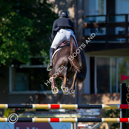 Science Supplements All England Jumping Championships