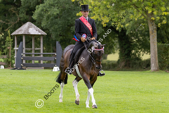 The Royal International Horse Show