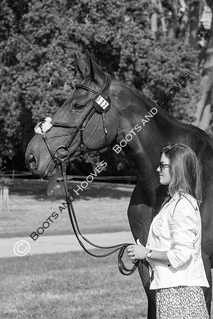 Blenheim Palace International Horse Trials