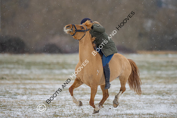 Snow Day