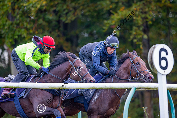 Newmarket