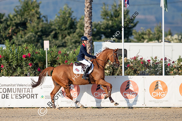FEI Junior European Championship Young Riders, Juniors & Childre