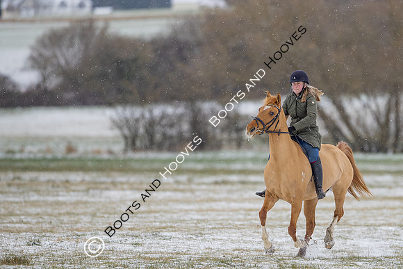 Snow Day