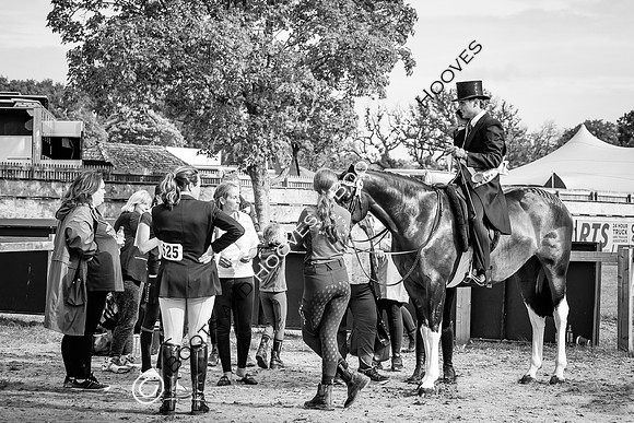 The Royal International Horse Show