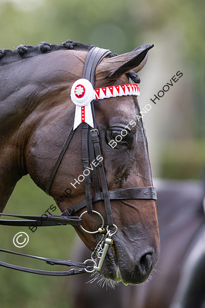The Royal International Horse Show