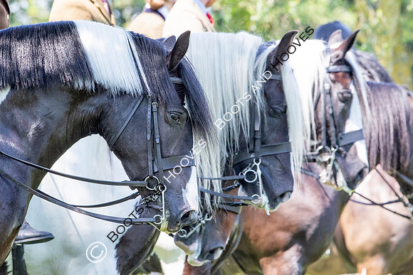 The Prenetics Royal International Horse Show