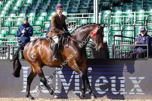 Royal Windsor Horse Show