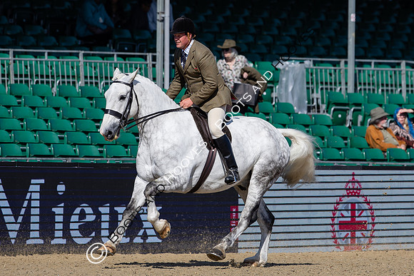 Royal Windsor Horse Show