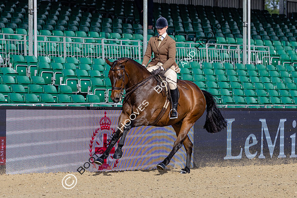 Royal Windsor Horse Show