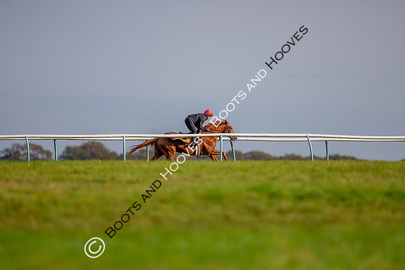 Newmarket