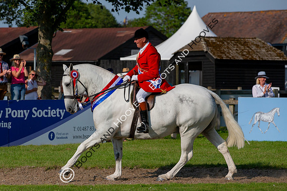 The Prenetics Royal International Horse Show