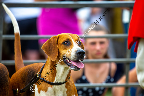 Festival of Hunting