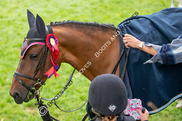 Science Supplements All England Jumping Championships