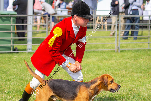 Festival of Hunting