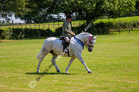 The Prenetics Royal International Horse Show