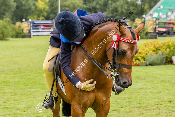 The Agria Royal International Horse Show