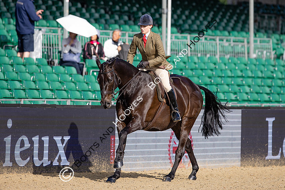 Royal Windsor Horse Show