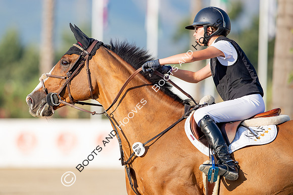 FEI Junior European Championship Young Riders, Juniors & Childre