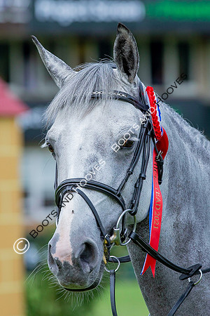 The Prenetics Royal International Horse Show