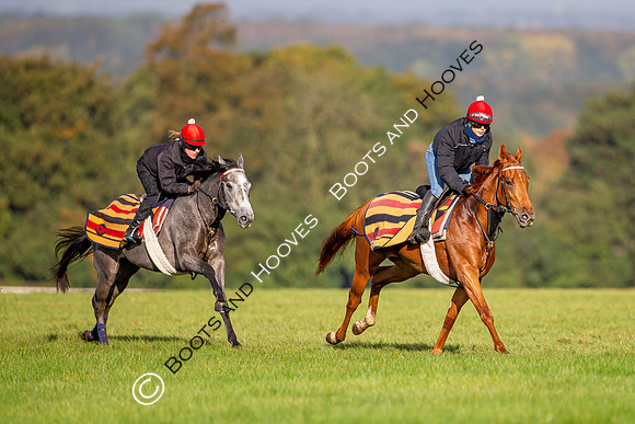 Newmarket