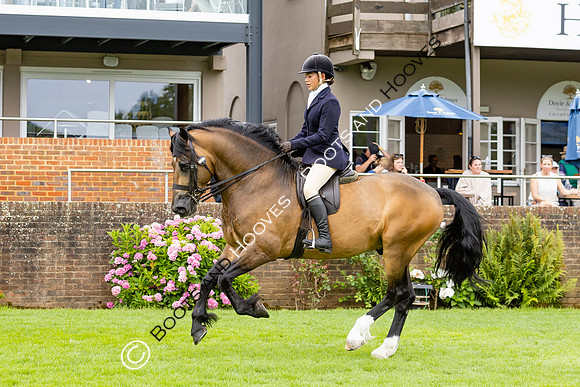 The Agria Royal International Horse Show