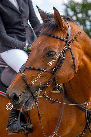 Science Supplements All England Jumping Championships