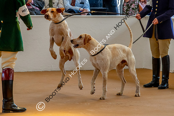 Festival of Hunting